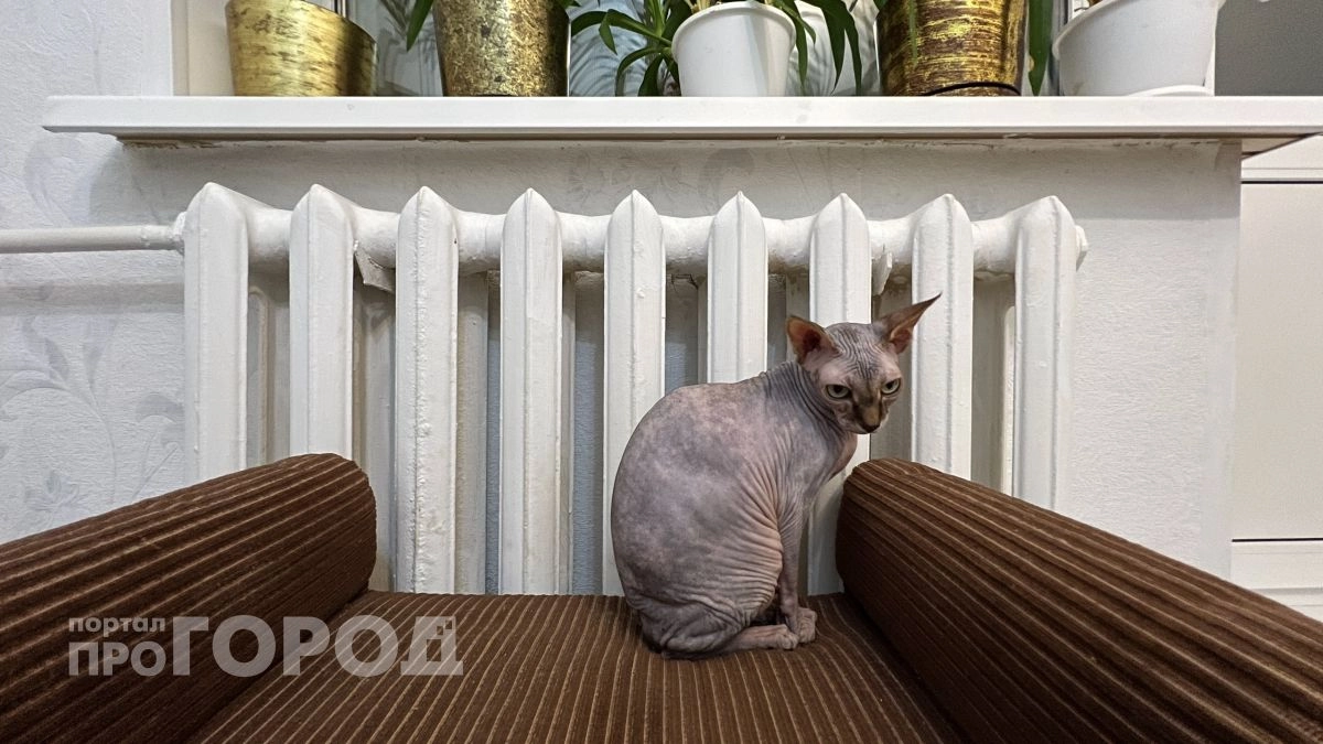 В многоквартирных домах Новочебоксарска завершают проверку готовности к зиме отопления и котельных