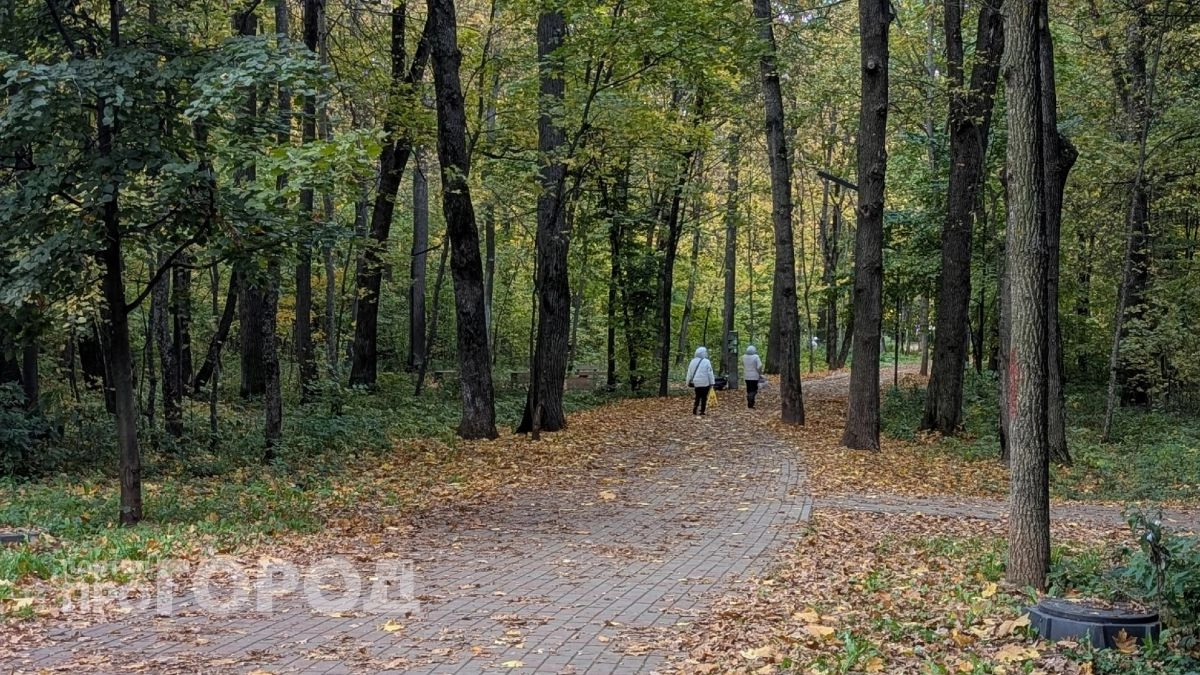 Ельниковская роща столкнулась с дефицитом кадров