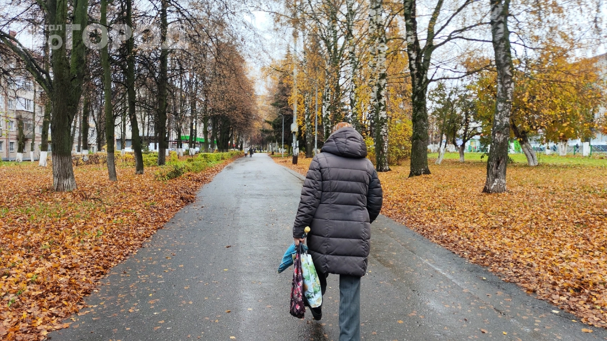 Бабьего лета даже не ждите: вместо золотой осени — затяжные циклоны, сырость и ранние заморозки