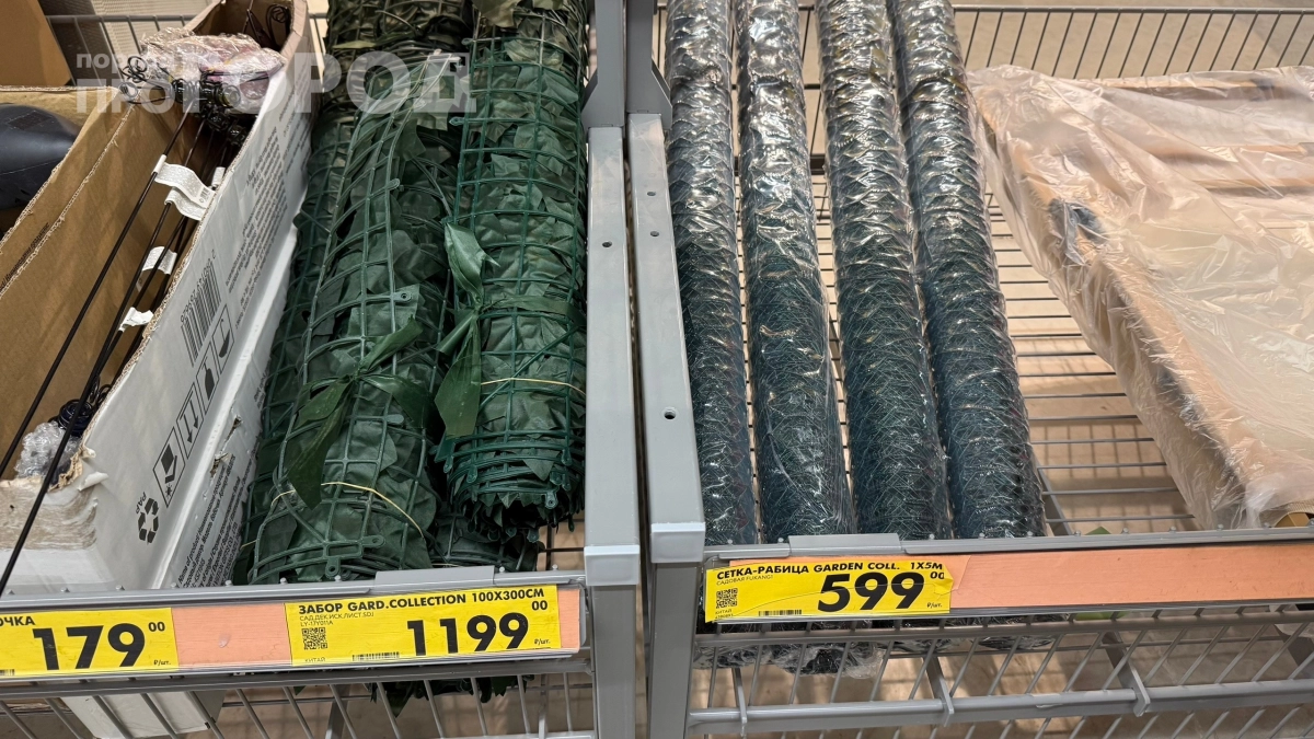 Скупаю сетку-рабицу в “Чижике”, но не для забора: вот что делаю с ней на даче