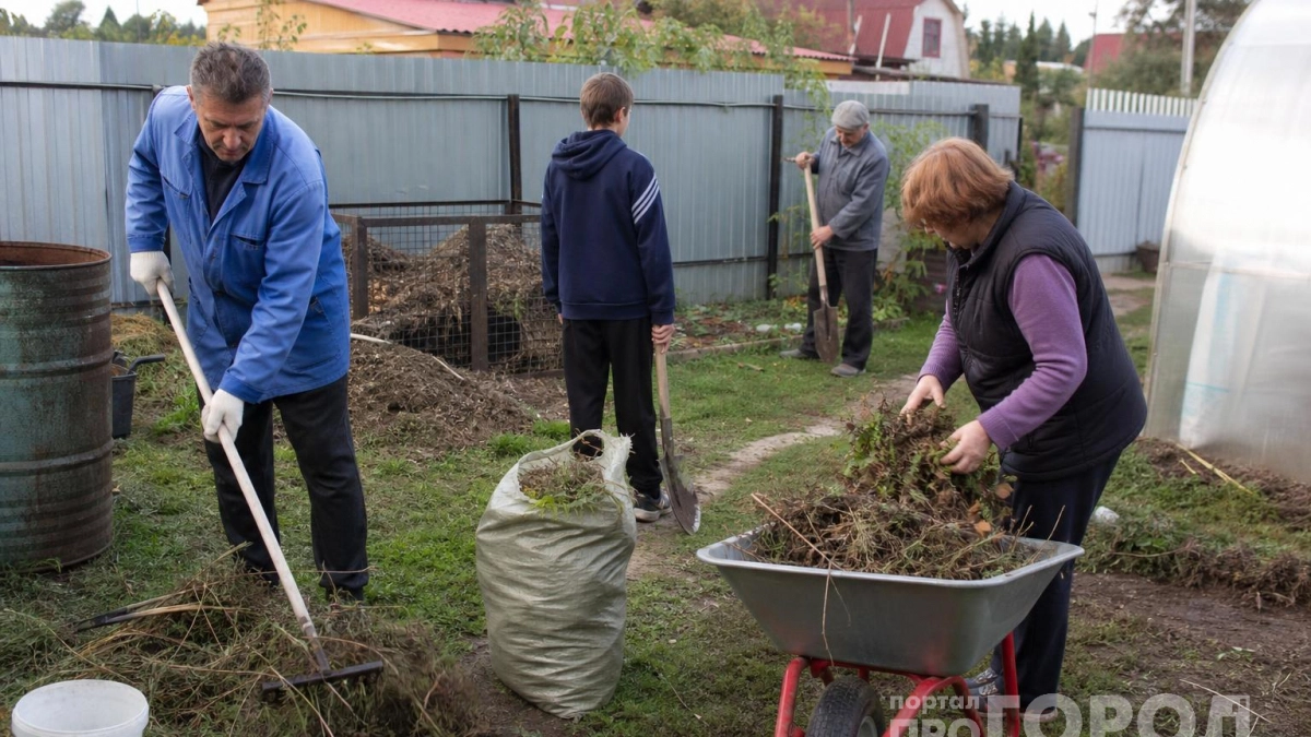 1 лопату в компост - и куча "бродит" как живая: за зиму перегниют даже палки и кости