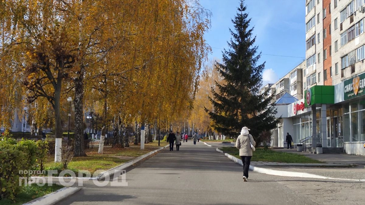 В Новочебоксарске женщина поверила лжеброкерам и повесила на соседку чужие долги