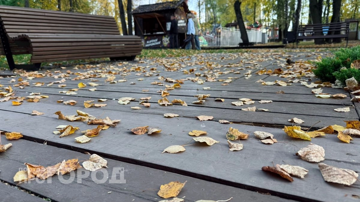 Сухой четверг без дождей: как спланировать дела на открытом воздухе в Новочебоксарске