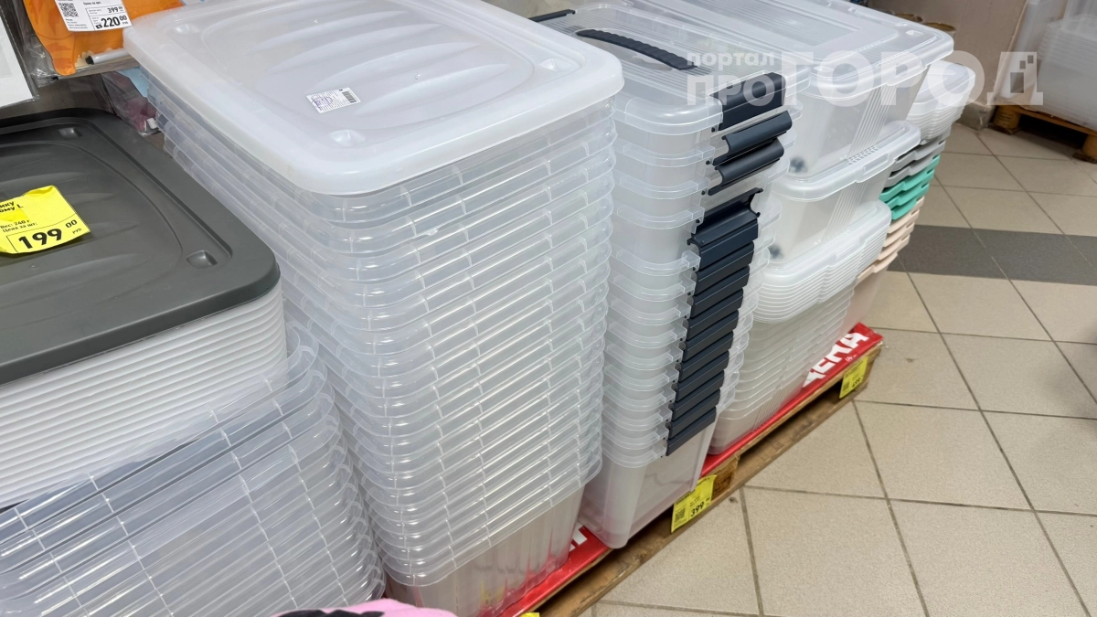 Скупила в Fix Price большие пластиковые контейнеры и приспособила их в погребе: как сохранить урожай без гнили