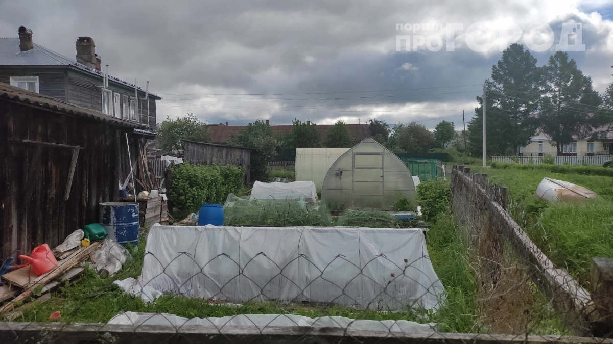 Не успеете до Покрова — урожай пропадет: 6 обязательных осенних дел в саду и огороде до первого снега