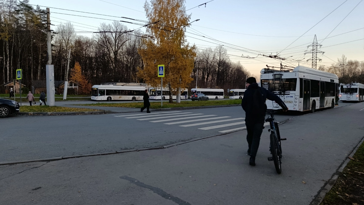 Ступил на зебру или нет: Верховный суд поставил точку, как теперь уступать пешеходам по новым правилам