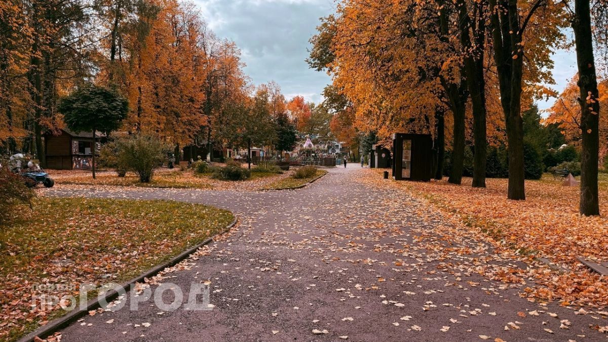 В Чувашии ночью ожидаются заморозки до -1 при сухой погоде