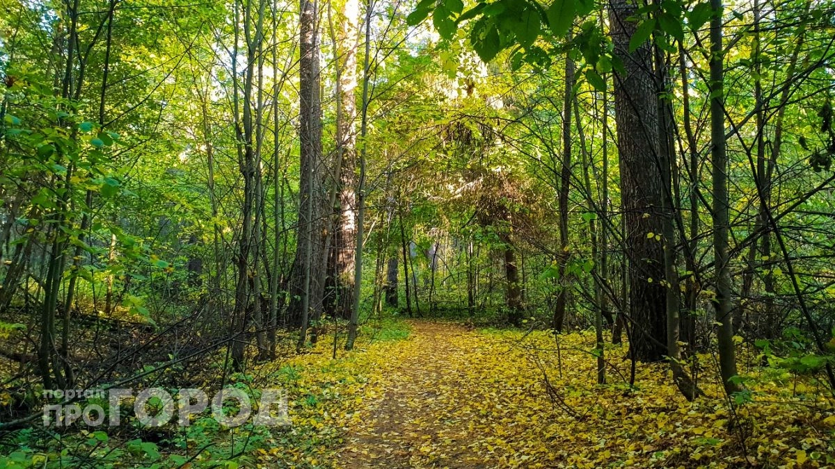 В Новочебоксарск придет кратковременный дождь