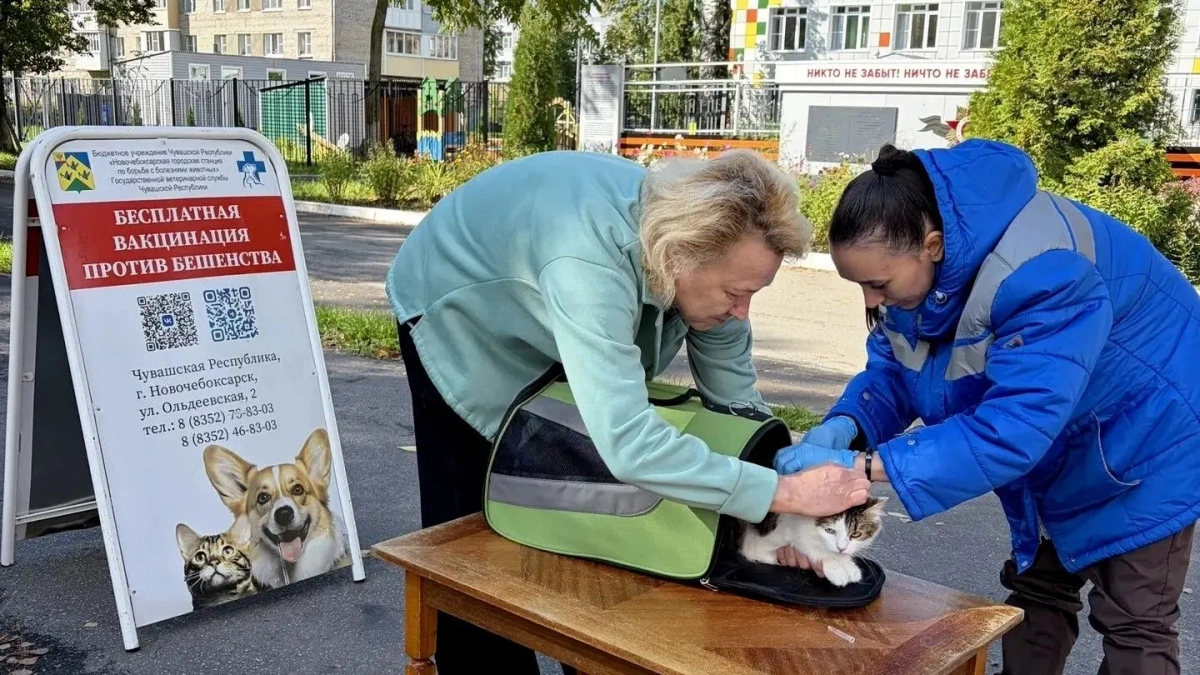 В Новочебоксарске прошла кампания по прививке животных от бешенства