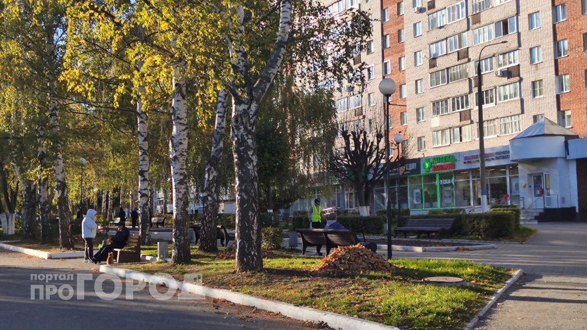 Середина октября без заморозков: южный ветер принесет в Новочебоксарск весеннее тепло