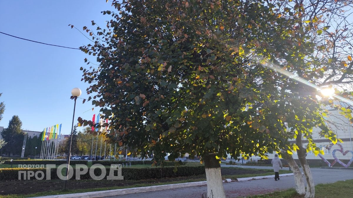 Аномальное тепло и штиль: о погоде в Новочебоксарске в субботу