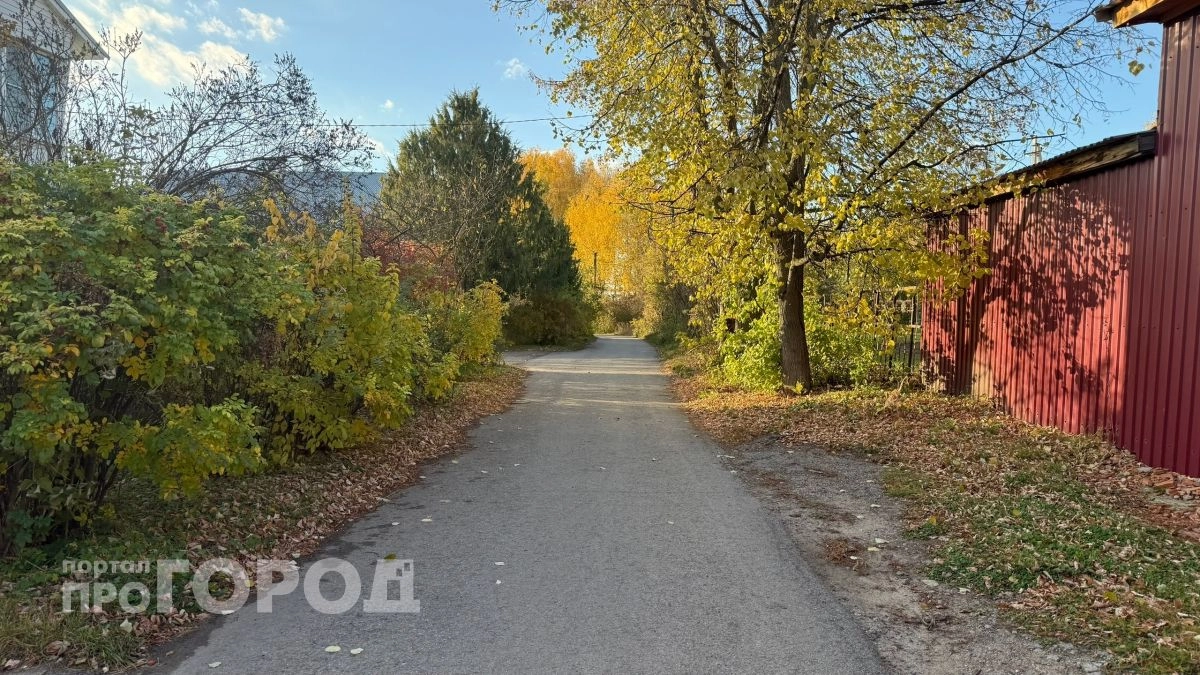 Воздух в Новочебоксарске прогреется до +18 градусов в это воскресенье
