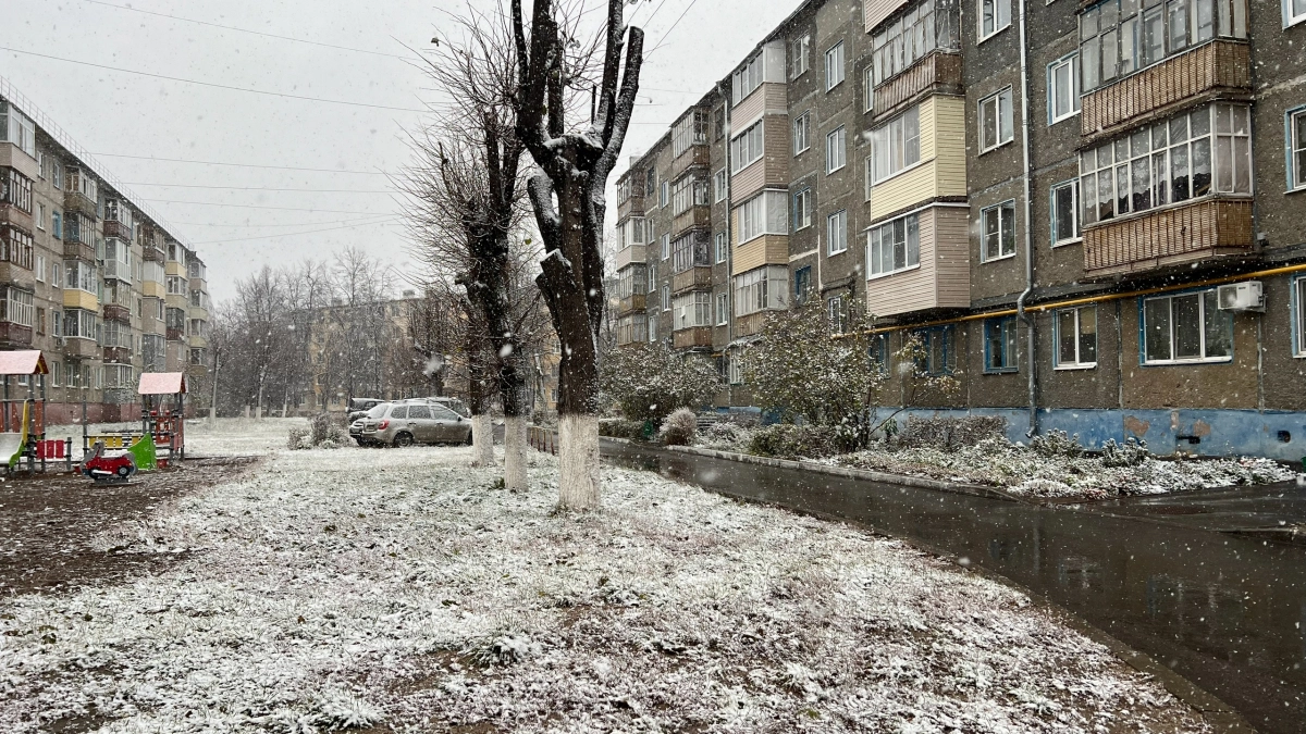 Арктический фронт на пороге: к концу октября регион накроет волна мокрого снега