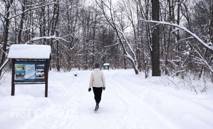Посетителей Ельниковской рощи предупреждают о запрете на выгул собак