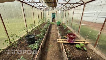 Овощевод из Новочебоксарска отсудила 50 тысяч рублей за укус шмеля во время работы