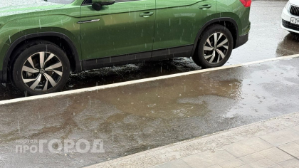 В Новочебоксарске 20 июня ожидаются кратковременные дожди и грозы