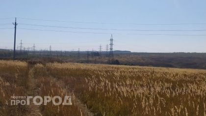 11 градусов тепла ночью и гроза днем: о погоде в Чувашии 1 августа 