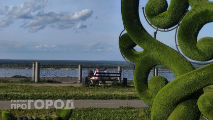 В Новочебоксарске воскресенье пройдет без дождя и с потеплением до +26°C