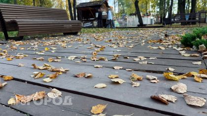 Сухой четверг без дождей: как спланировать дела на открытом воздухе в Новочебоксарске